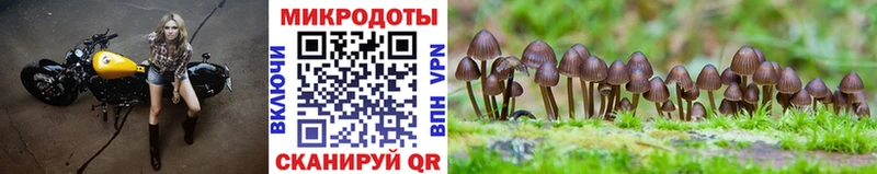 Псилоцибиновые грибы прущие грибы  Болхов 